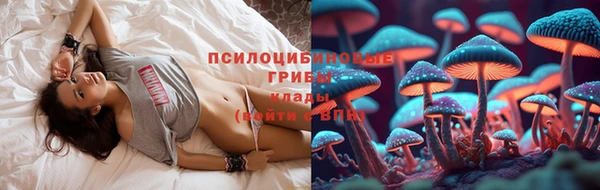 соль ск Богородицк