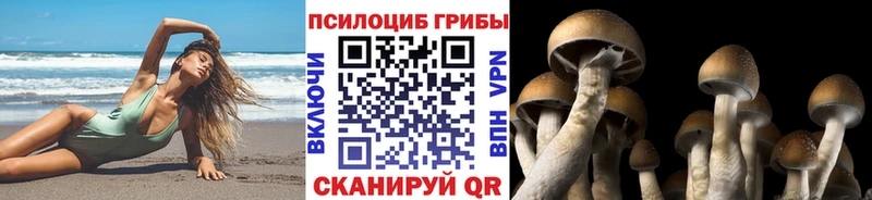 наркошоп  Елабуга  Галлюциногенные грибы ЛСД 